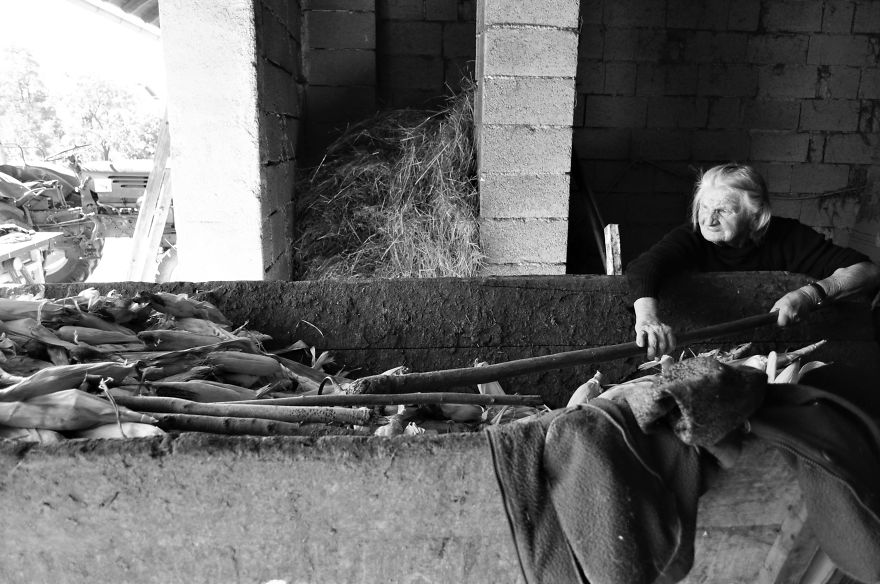 I Followed My 83-Year-Old Grandma Around Her Farm For One Day