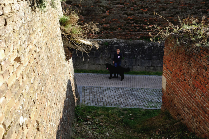 I Try To Capture Special Moments Between Dogs And Owners At Dog Shows