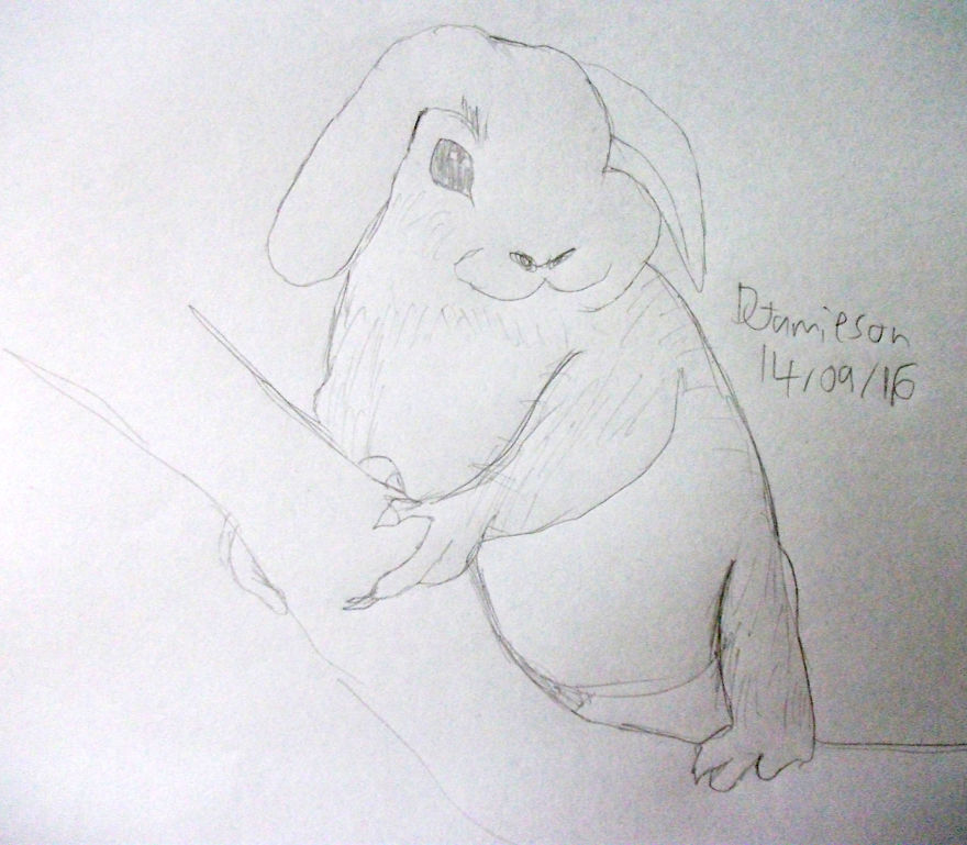 100 Days With Animals