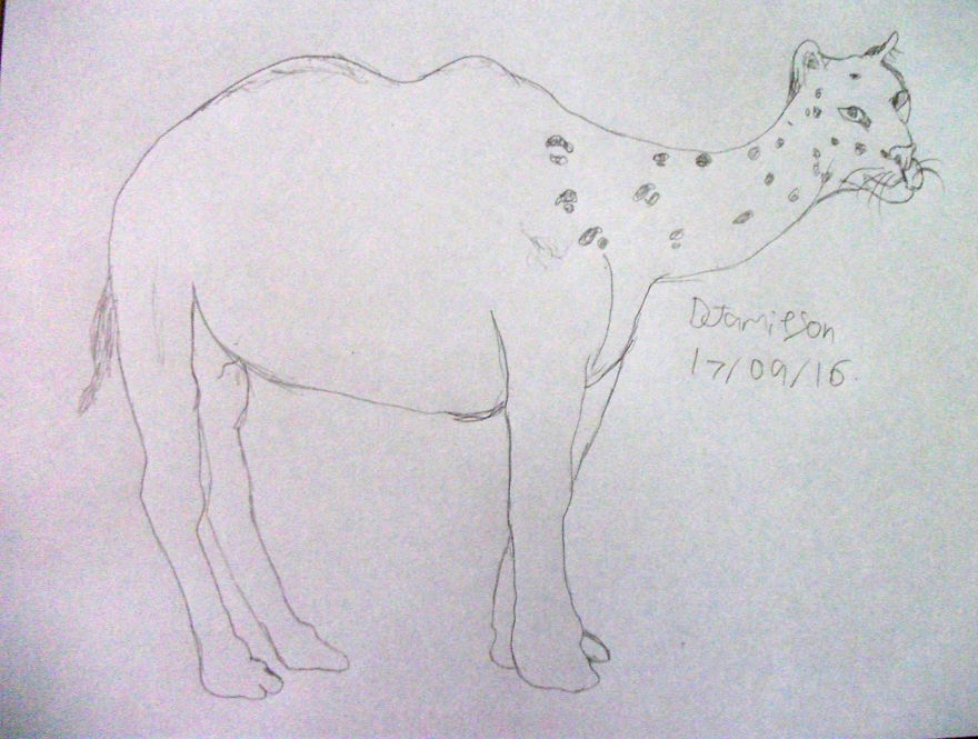 100 Days With Animals