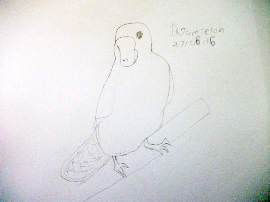 100 Days With Animals