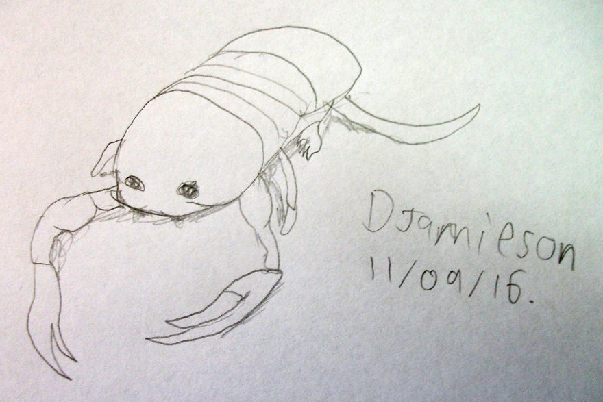 100 Days With Animals