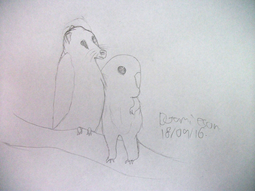 100 Days With Animals