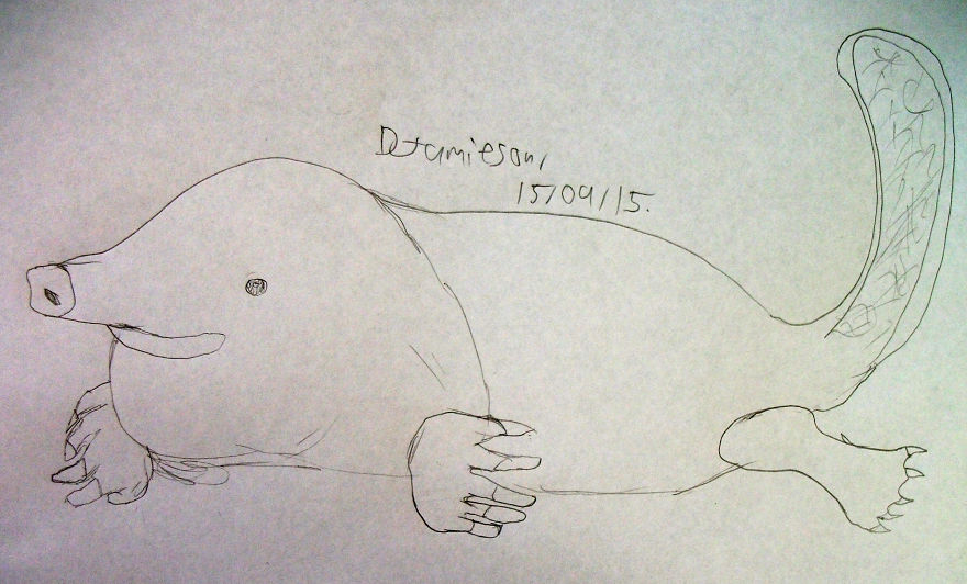 100 Days With Animals