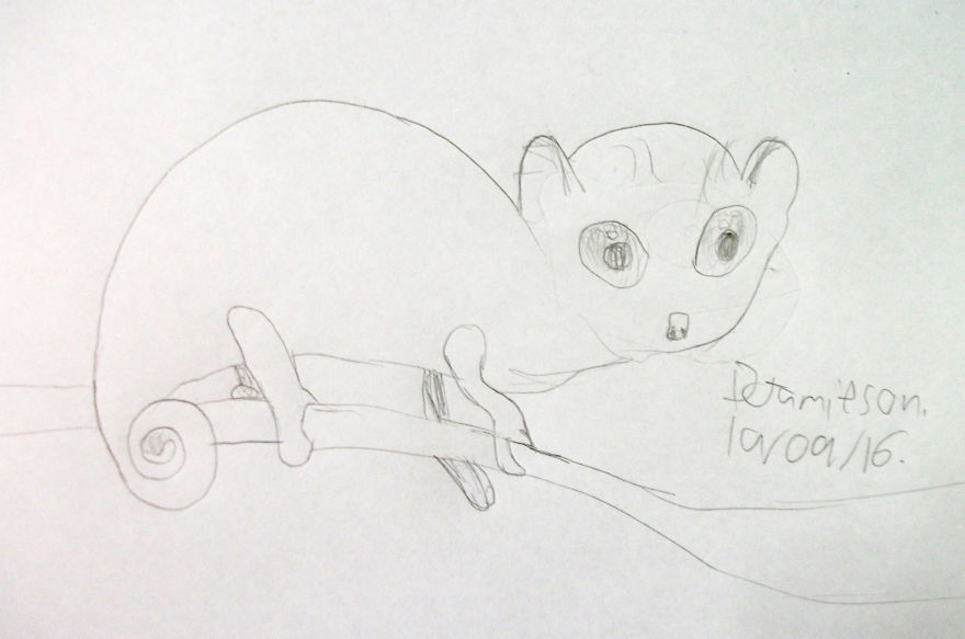 100 Days With Animals