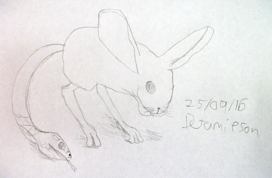 100 Days With Animals