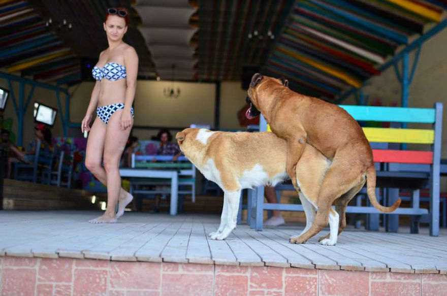 Vama Veche, Magical Place In Romania