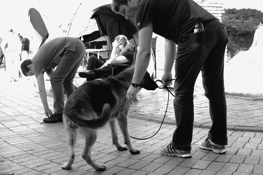 I Try To Capture Special Moments Between Dogs And Owners At Dog Shows