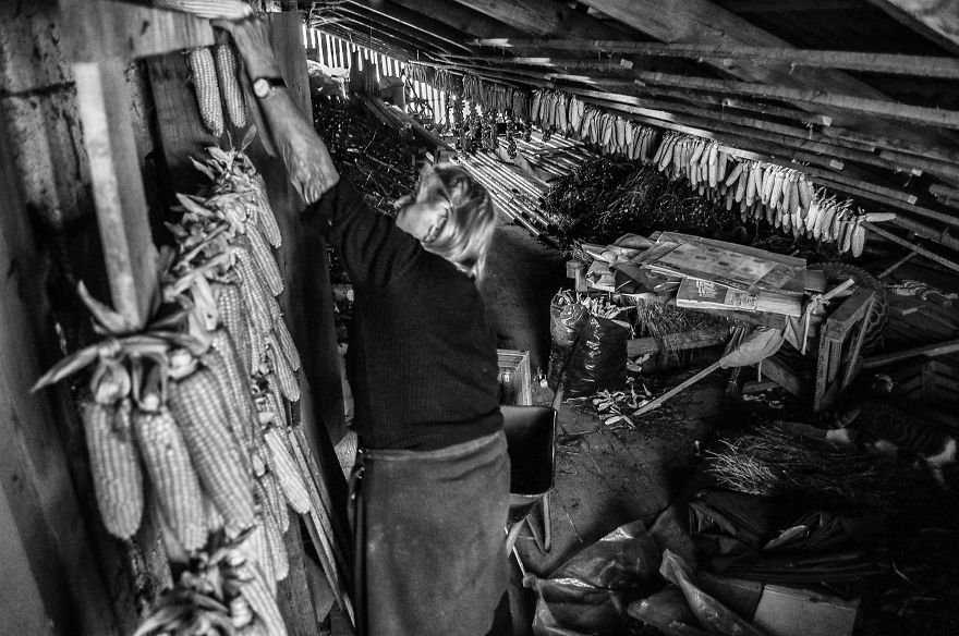 I Followed My 83-Year-Old Grandma Around Her Farm For One Day