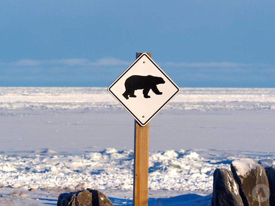 A Beautiful Journey, Sensational Views, Terrible Cold.