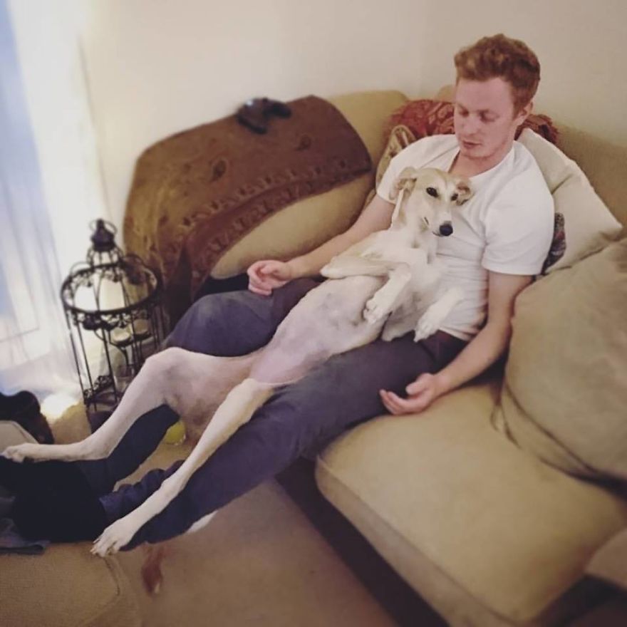 We Took A Stray Dog Home And She Never Left We Took A Stray Dog Home And She Never Left