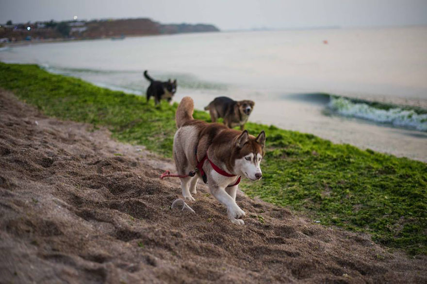 Vama Veche, Magical Place In Romania