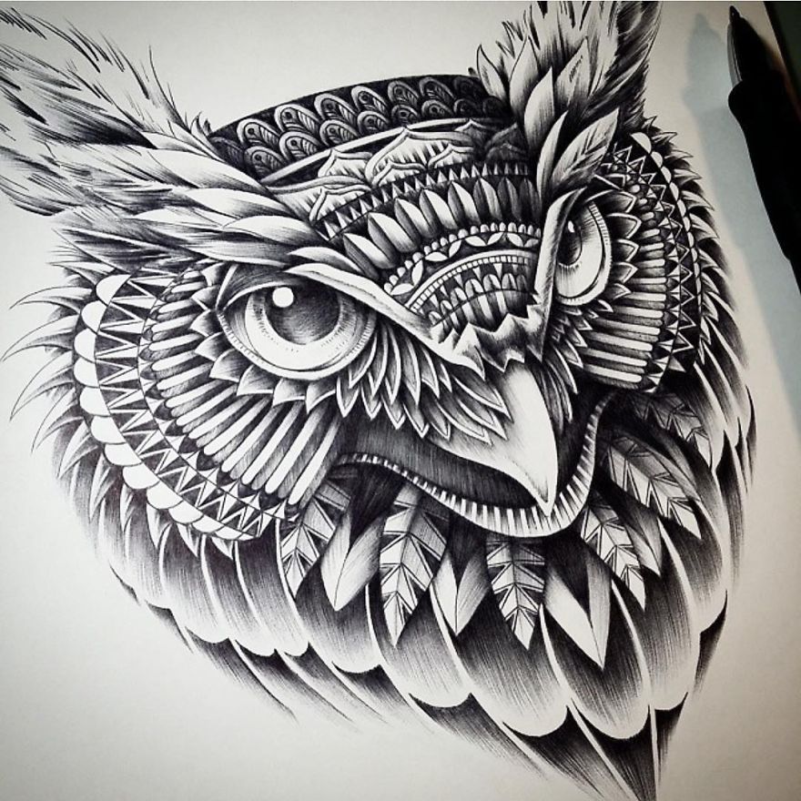 Ornate And Intricate Animal Drawings