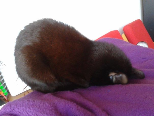 I Dont Wanna See This! :d