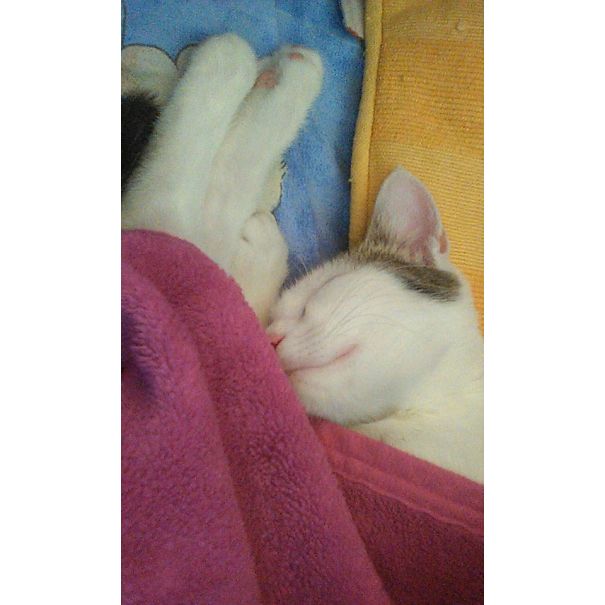 When Your Mom Keeps Telling You To Put Some Blanket On You Stomach