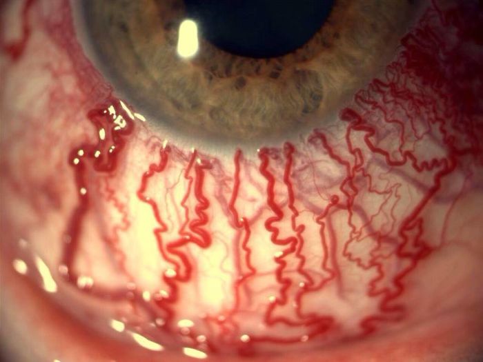 Human Body , Like Never Before ! (+20 Amazing Photos)