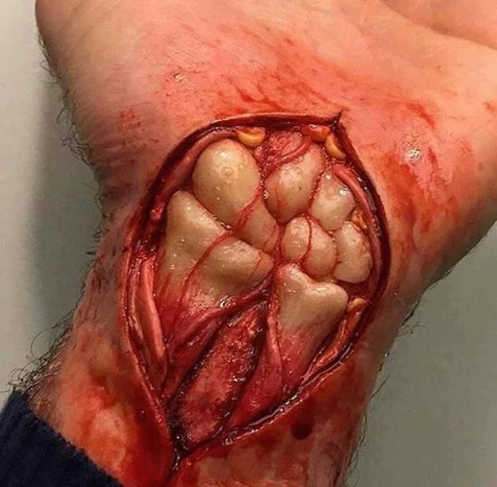 Human Body , Like Never Before ! (+20 Amazing Photos) Human Body , Like Never Before ! (+20 Amazing Photos)