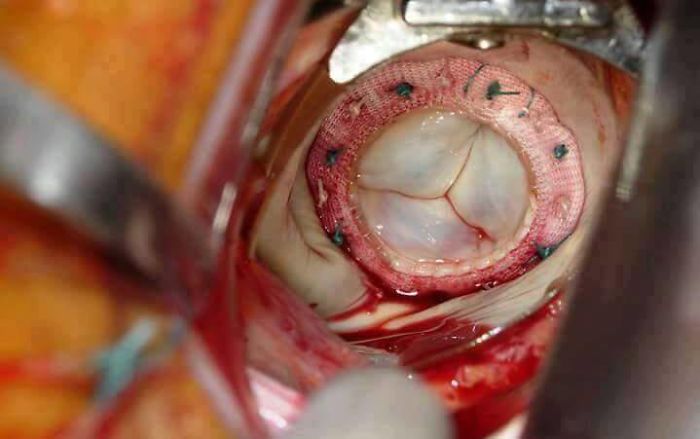 Human Body , Like Never Before ! (+20 Amazing Photos) Human Body , Like Never Before ! (+20 Amazing Photos)