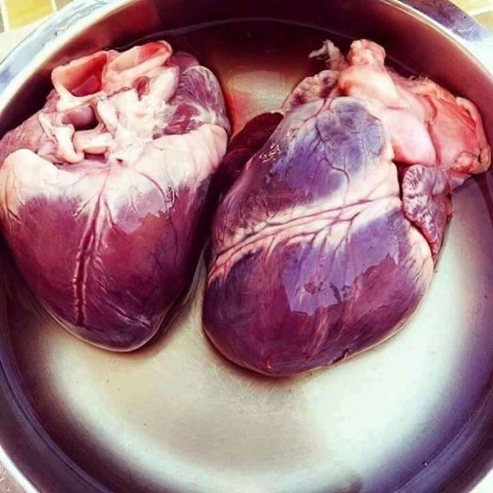 Human Body , Like Never Before ! (+20 Amazing Photos) Human Body , Like Never Before ! (+20 Amazing Photos)