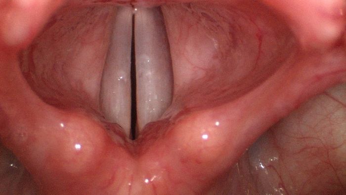 Human Body , Like Never Before ! (+20 Amazing Photos) Human Body , Like Never Before ! (+20 Amazing Photos)