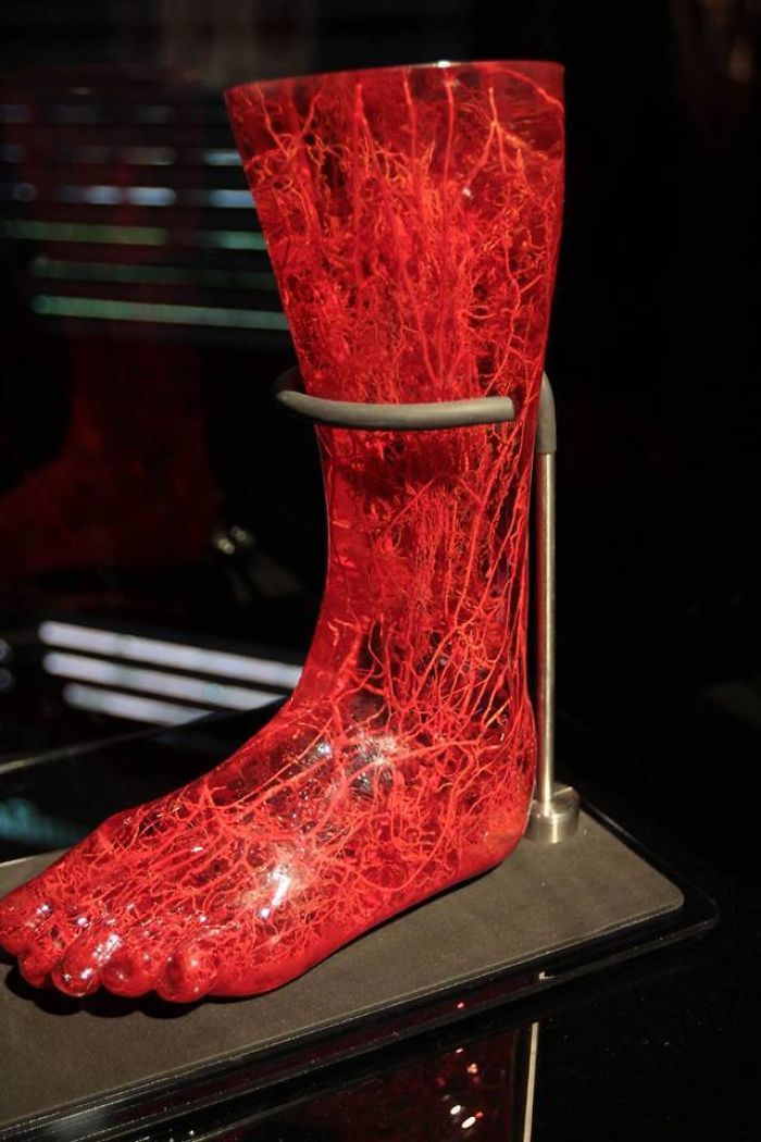 Human Body , Like Never Before ! (+20 Amazing Photos) Human Body , Like Never Before ! (+20 Amazing Photos)