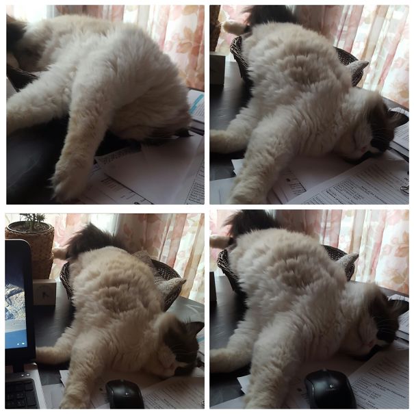 Multitask : Working While Sleeping