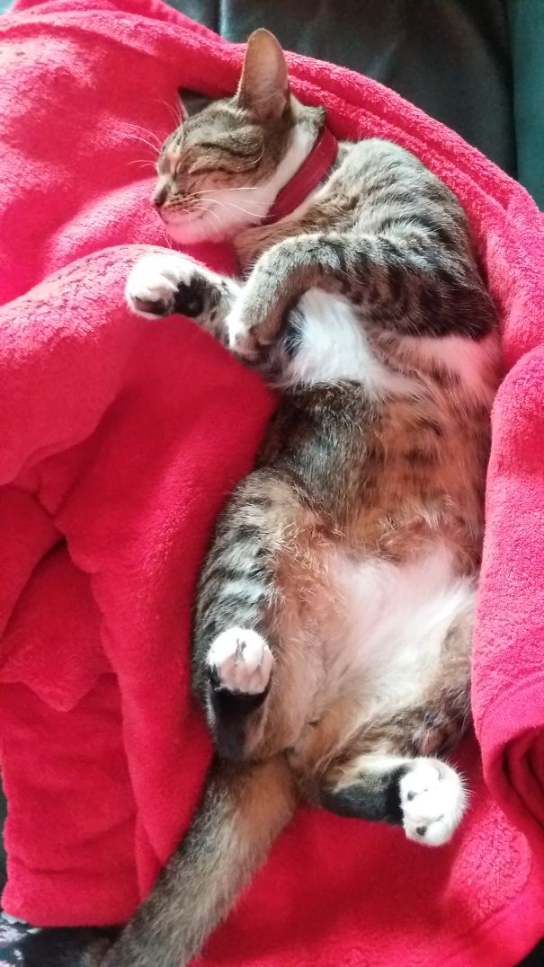 My Little Sleeping Beauty