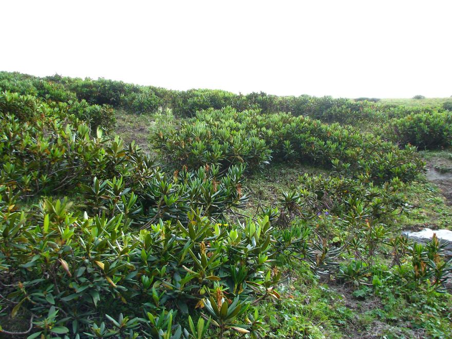 Power Of Nature - Photosessions In Russia.