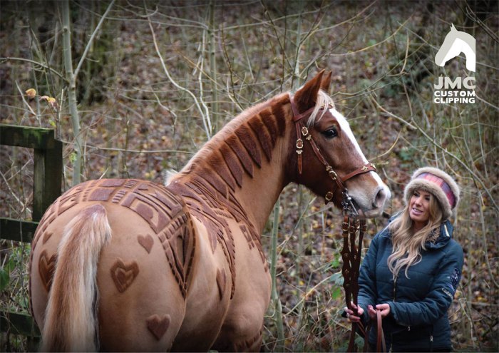 20 Horses With Better Hairdos Than Yours 20 Horses With Better Hairdos Than Yours