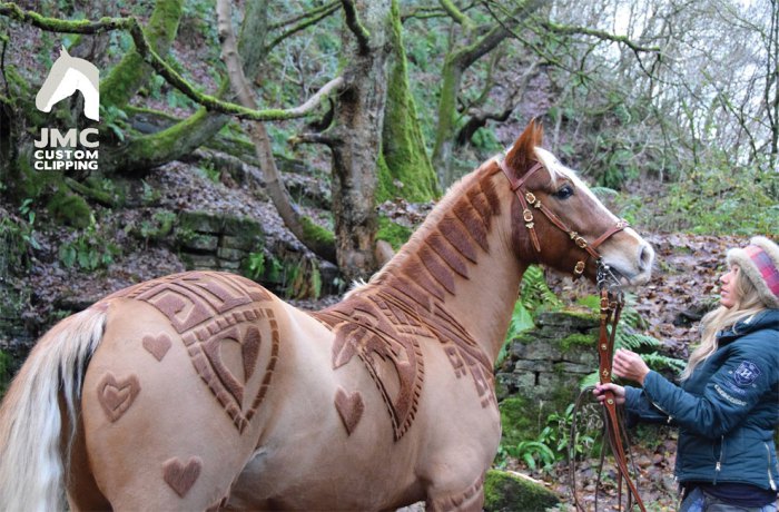 20 Horses With Better Hairdos Than Yours 20 Horses With Better Hairdos Than Yours