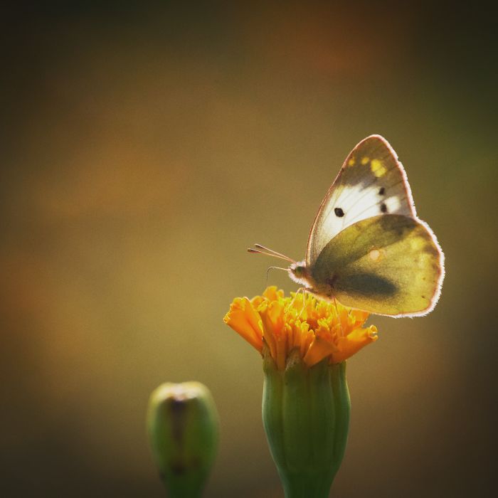 I Invite You To The Visual Haiku World In Tokyo