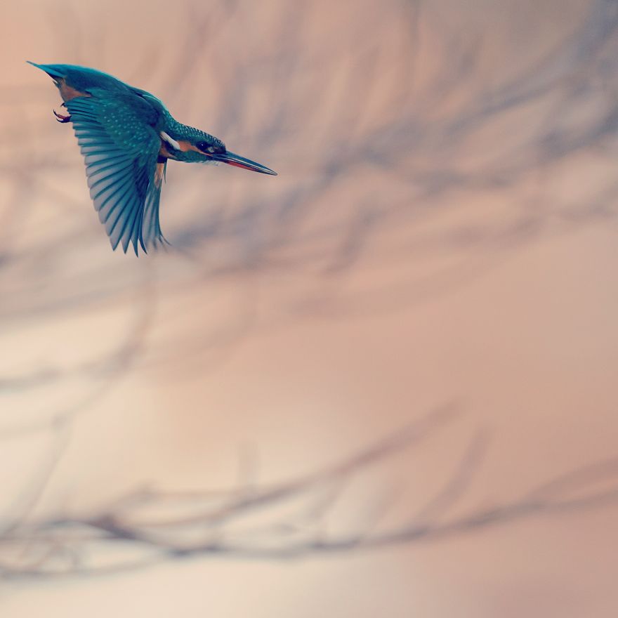 I Invite You To The Visual Haiku World In Tokyo