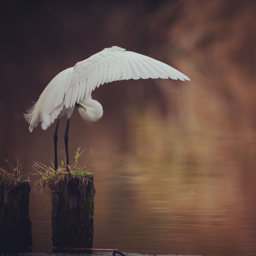 I Invite You To The Visual Haiku World In Tokyo