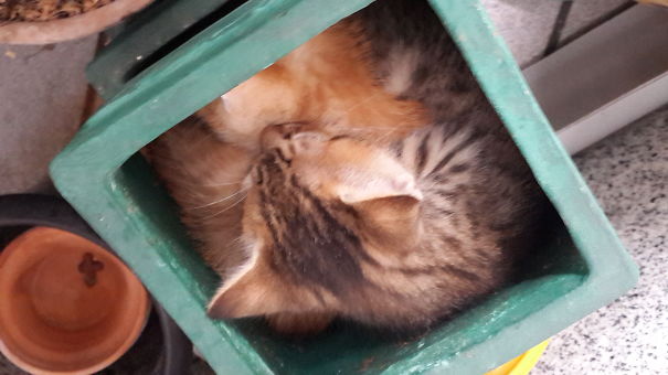 There Are Actually Two Off Them In There?