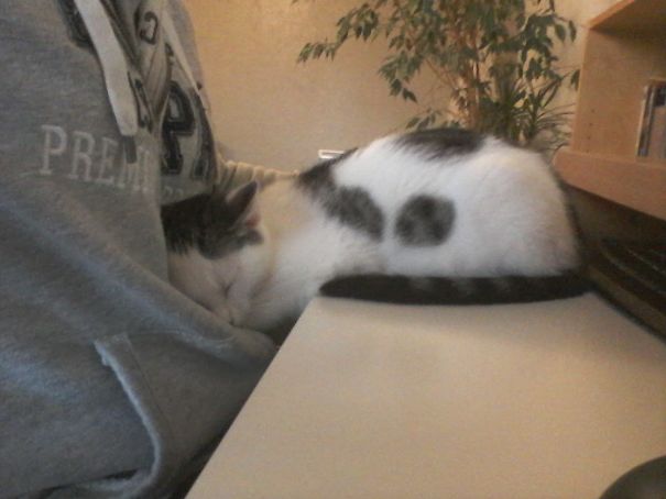 Too Big To Fit On Your Lap?... No Pb