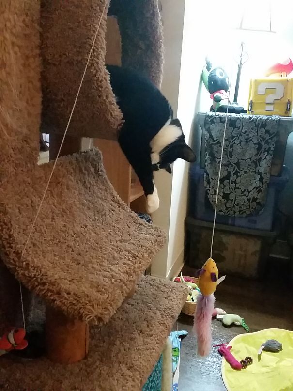 Melting In The Summer Heat