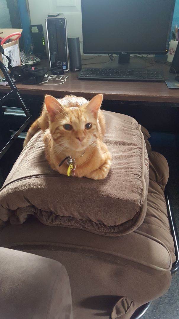 I Like Bending Chairs. If I Fits I Sits