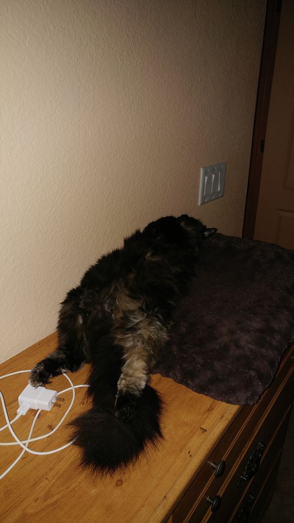 Sasha Doing What She Does Best -