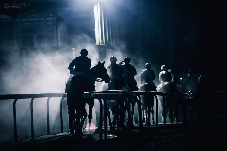 I Capture Horse Races With All Their Light And Dark Sides I Capture Horse Races With All Their Light And Dark Sides