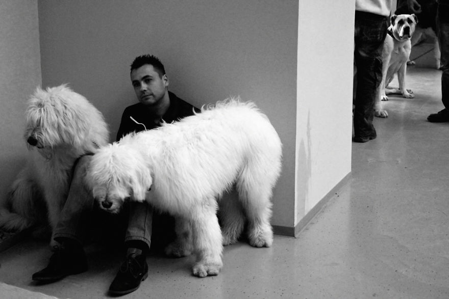 I Try To Capture Special Moments Between Dogs And Owners At Dog Shows