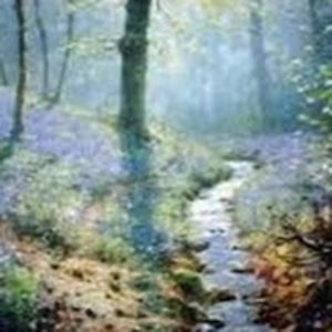 janicenowicki avatar