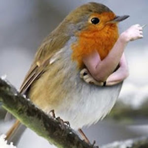 kristianegsgaard_1 avatar