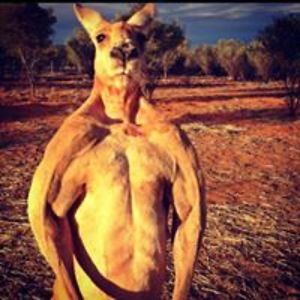 scott_partridge1 avatar