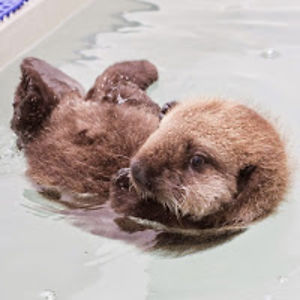 jenniferramirez avatar