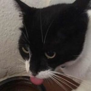 daniellecarverreimers avatar