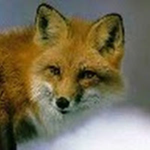 edwinquantrall_1 avatar