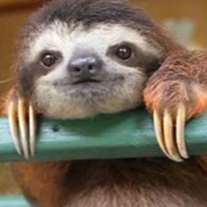 heikkiklemola avatar