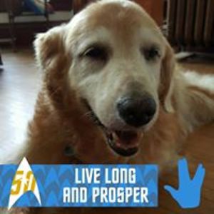 sugarspellitout avatar