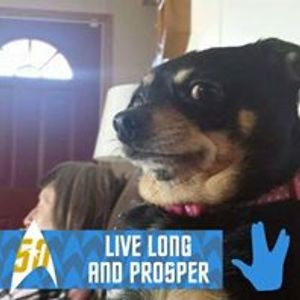 swansoncarrie avatar