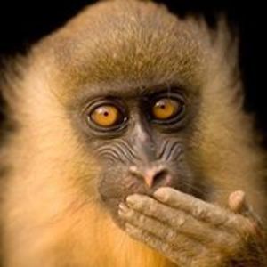 teddyoctober2_0 avatar